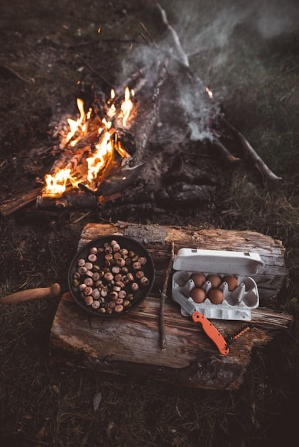 Picnic Ideas for Scenic Views